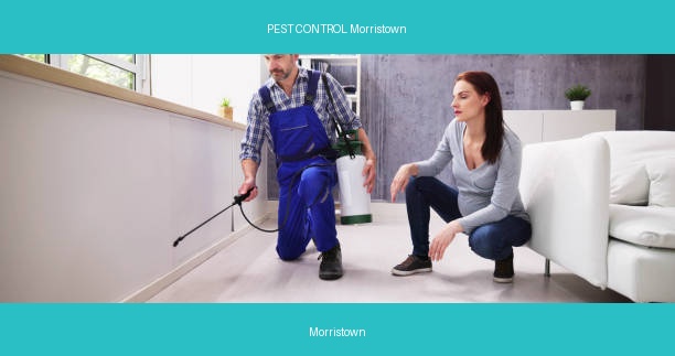 PEST CONTROL Morristown